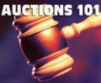 Thumbnail 150 auctions Plr Articles.