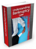 Thumbnail Bankruptcy 100 Articles With Master Resale Rights.