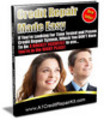 Thumbnail Credit Repair 40 articles Plr.