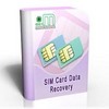 Thumbnail Data Recovery 150 articles Plr.
