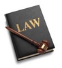Thumbnail Legal 100 articles Plr.