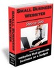Thumbnail Small Business 100 Articles Plr.