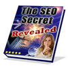 Thumbnail SEO Secrets Uncovered Plr.