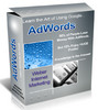 Thumbnail Using Google Adwords With Master Resale Rights.