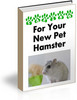 Thumbnail For you New Pet hamster How to care With Master Resale Righ.