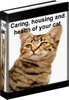 Thumbnail Cat Care 20 Articles With Master Resale Rights Thumbnail Cat Care 20 Articles With Master Resale Rights