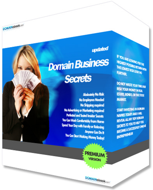 Product picture Domain 90 Articles Plr.