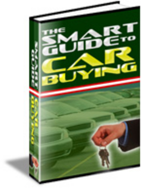 Product picture Driving tips 170 articles Plr.