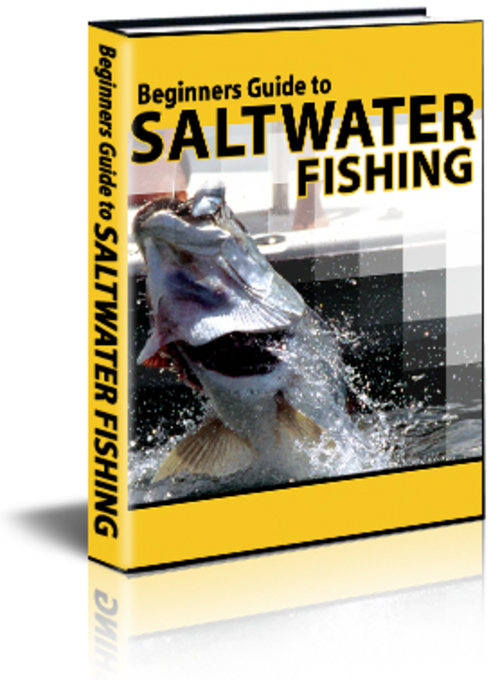 Product picture Fishing 70 articles Plr.