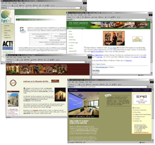 Product picture 500 websites templates with MRR.