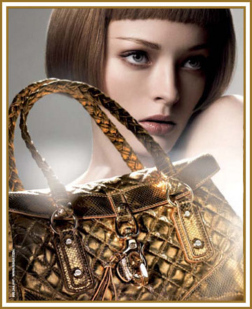 Product picture Ladies Accessories 70 articles Plr.