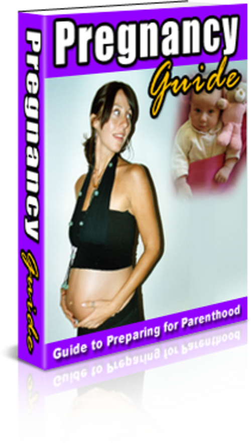 Product picture Pregnancy 80 Articles Plr.
