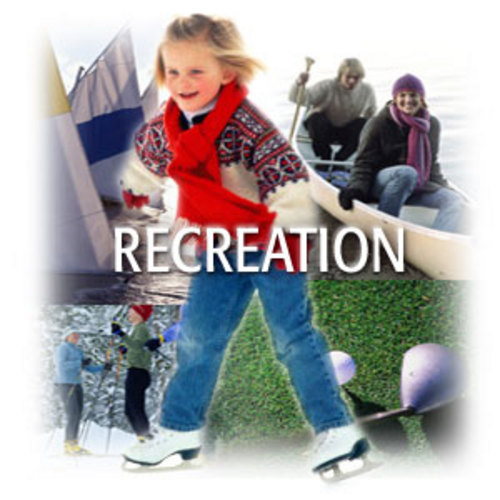 Product picture Recreation 110 Articles Plr.