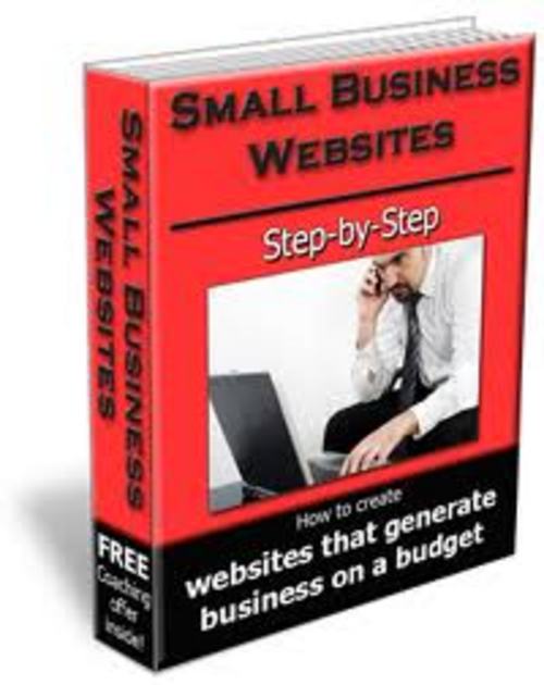 Product picture Small Business 100 Articles Plr.