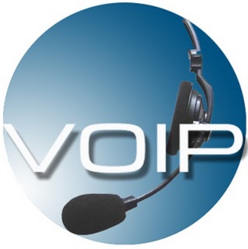 Product picture Voip 30 Articles Plr.