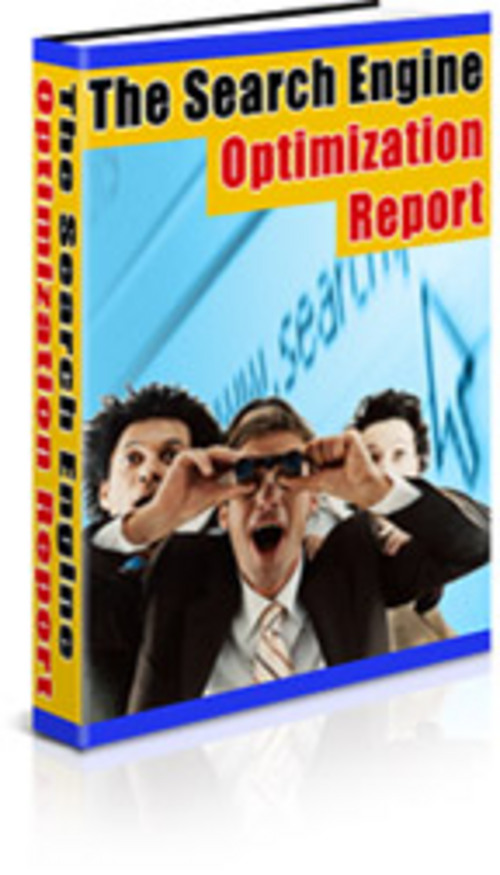 Product picture The Search Engine Optimization Report with MRR.
