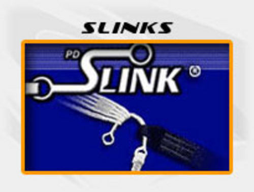 Product picture sLinks With Master Resale Rights.