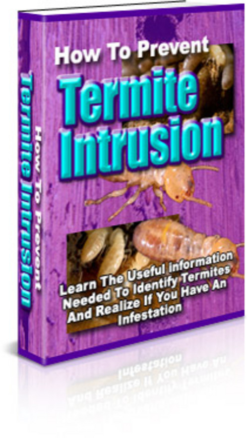 Product picture How To Prevent Termite Intrusion With Master Resale Rights.