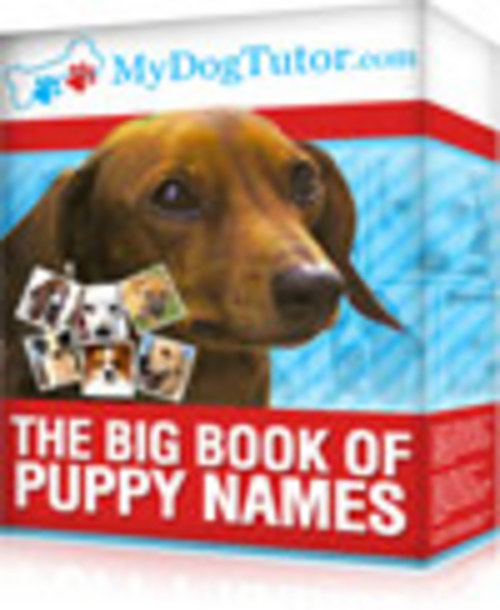 Product picture Big Book of Puppy names  With Master Resale Rights.  
