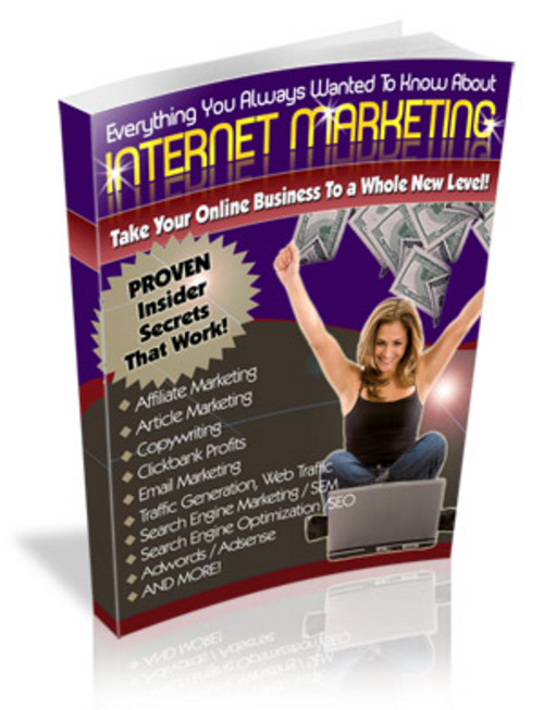 Product picture Internet Marketing 700 Articles Plr.