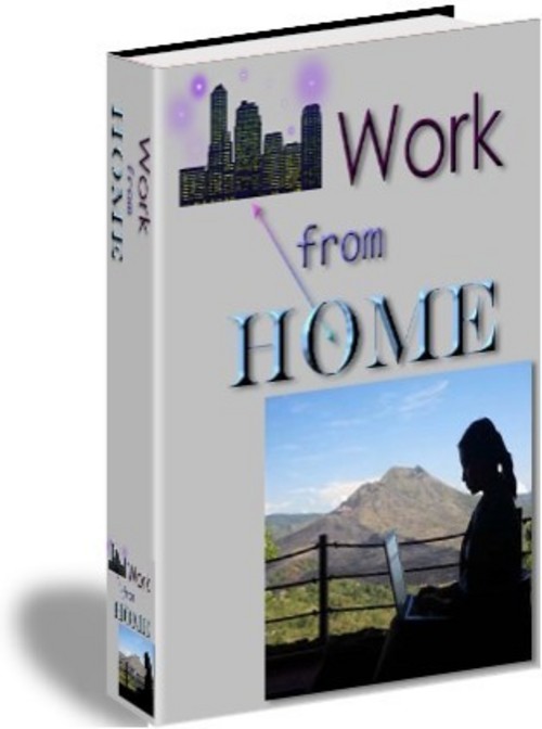Product picture Work From Home With Master Resale Rights.
